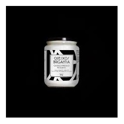 Requesón Gallego Brigantia